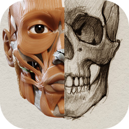 Artist App